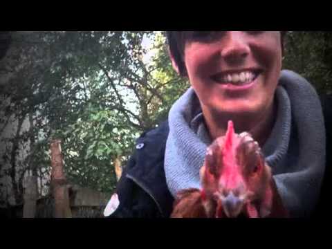 Steffi holt "Henriette" das Huhn