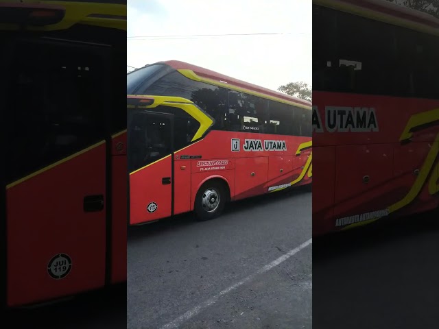 Patas Jaya Utama Non Economy Bus on the Jepara Surabaya route #carnews