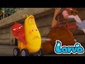 Larva Cartoon Larva New Week 2 Episode 39 45 Larva Official Larva Funny Cartoons