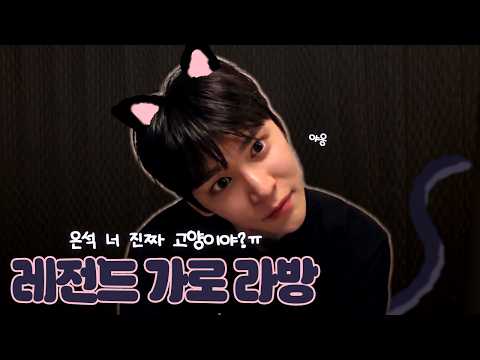 [라이즈/은석] 🔴20260208 레전드 가로라방 돌냥이 펫캠시점