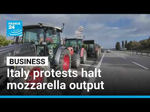Italy's trucker protests halt buffalo mozzarella production, cost producers €3m