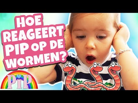 WHO OF YOU VIEWERS KNOWS PIP THE BEST?! 🤷‍♀️ 🤷‍♂️ - PIP #18