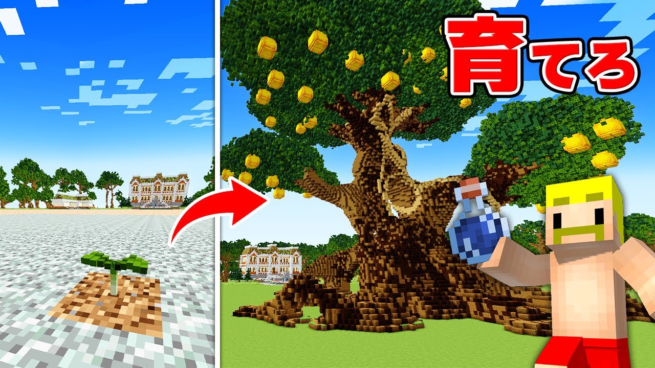 超巨大な金のリンゴがなる木を育てるまで終われません！【マイクラ】