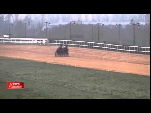 Mosaique Face et Pierre Vercruysse - Equidia