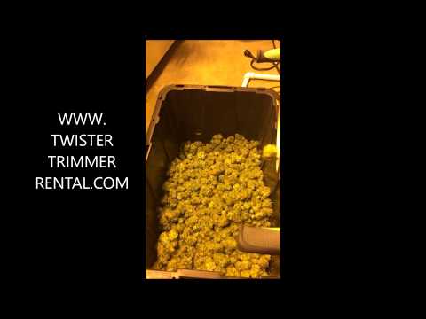 TWISTER T2 WET TRIMMING