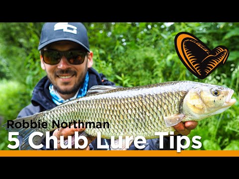 Chub on Lures, 5 Top Tips - Robbie Northman