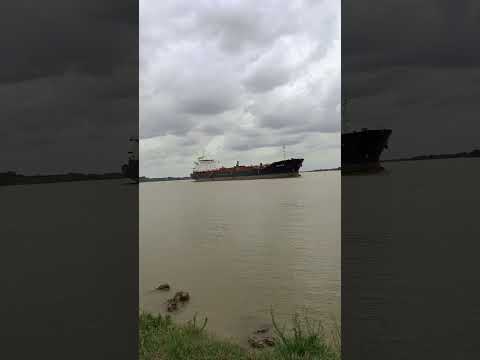 Pesca de costa. En PAVÓN Provincia de Santa Fe. #pesca #rio #paz