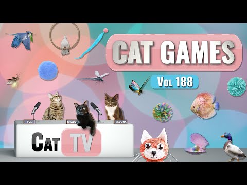CAT Games | Ultimate Cat TV Compilation Vol 188 | 8 HOURS  🐝🐞🦋🦎🦜🐜🐭🧵