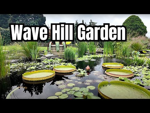 Wave Hill Garden NYC's Best Kept Secret Walking Tour 4K