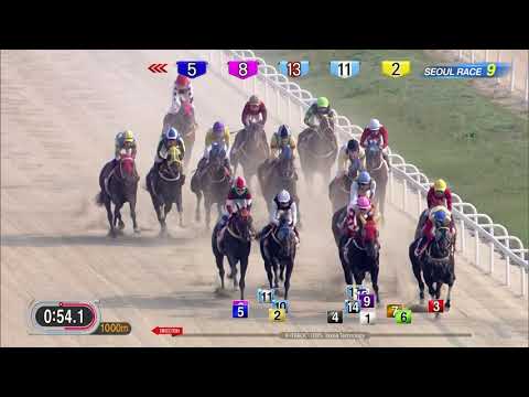 [English] 2019.05.12. Korean Derby{GI)