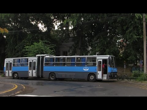 Buszok este Debrecenben