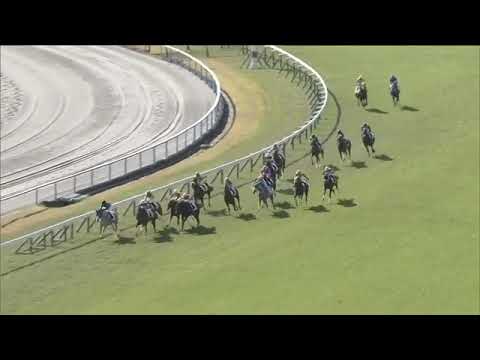 2019.11.10 2yo Newcomer (JPN) - Medetashimedetashi