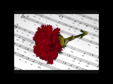 CLAVELITOS, TUNA CON LETRA