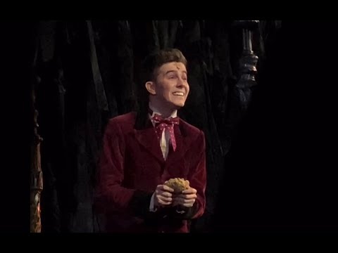 Tanz der Vampire - Für Sarah - Vincent van Gorp