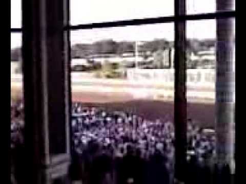 Big Brown Wins Haskell (0803081817.3g2) - August 17, 2008, 12:27 PM