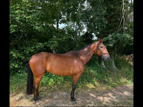 Flag de Marions ☆ (JAG DE BELLOUET x LOVE YOU) - Video 2 video thumbnail