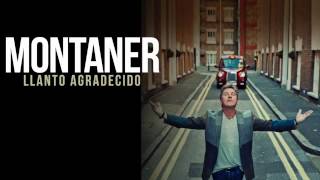 Ricardo Montaner Llanto Agradecido (2014) Audio