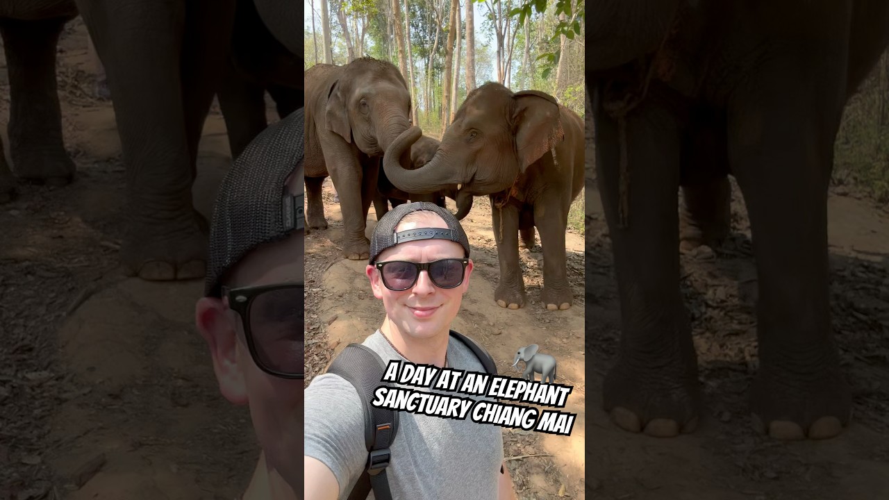 YouTube Short thumbnail