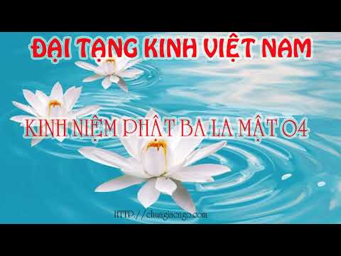 Kinh Đại Thừa - 04. Phẩm Bồ Tát