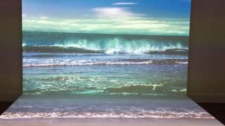 Bord de mer. Agnes Varda. 2009. Blum&Poe