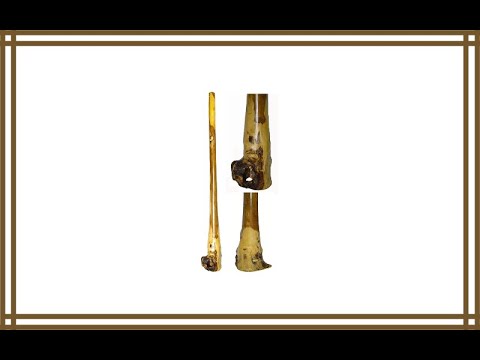 60″ Djembe Bongo Hand Carved Out of Eucalyptus African Didgeridoo Review