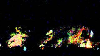 Salve Regina of Lourdes II - 2009