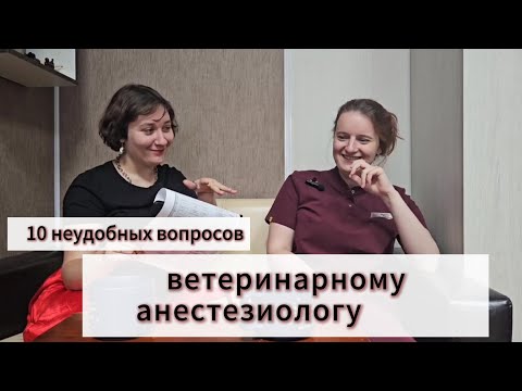 10 неудобных вопросов ветеринарному анестезиологу