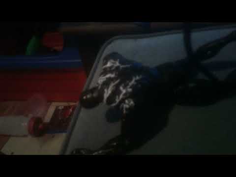 Spider-Man versus Venom baby Yoda