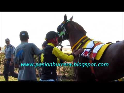 REPECHAJE POLLA RDA / LM: Juna Ryon RDA, Curuzu Cuatia (30-07-17)