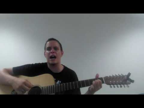 Brontosauři - Večerka 12 strings cover