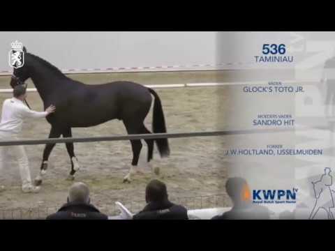 TAMINIAU (GLOCK'S TOTO JR x SANDRO HIT) video composed by NVDWhorses (5Jan2019-1)