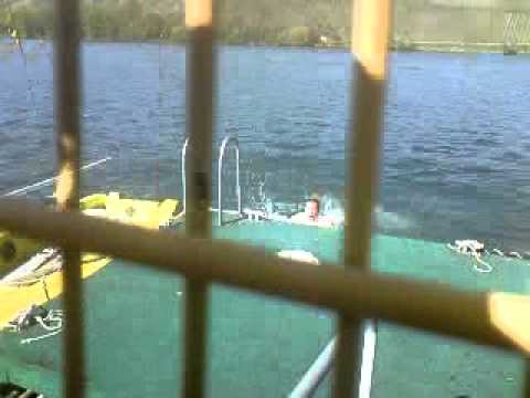 freaky jörn & HB meets schwan