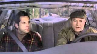 Why cats are better than dogs