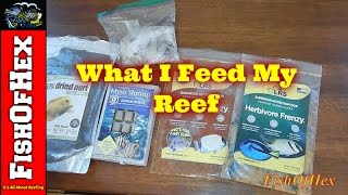 What Do I Feed My Reef? | Subscriber Request