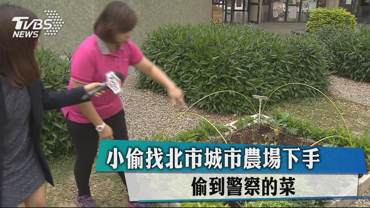 小偷找北市城市農場下手　偷到警察的菜