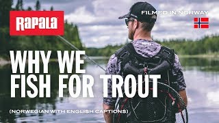 Rapala CountDown 05 GJTR