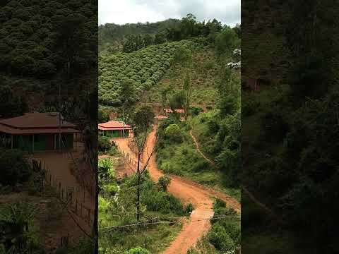 Região de Frei Lagonegro, mg