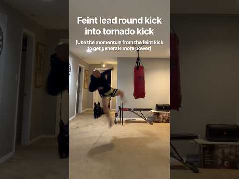 Tornado kick set up #mma #kickboxing #muaythai