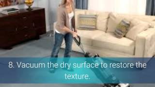 How Do You Clean Vomit From Carpet| Remove Vomit Odors