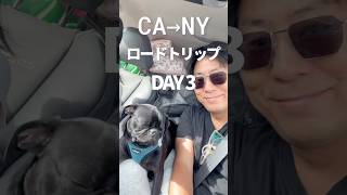 娘をニューヨークへ送る旅|Day 3 ロッキー山脈を越えてデンバーへ🚗🏔️