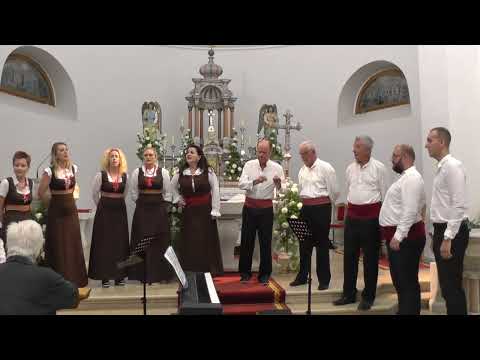 Klapa FD Kumpanija  - Jedan brod mi idri