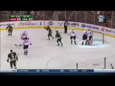 Minnesota Wild 2013-14