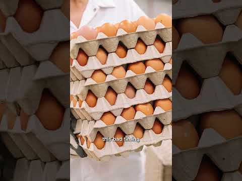 Egg prices are plunging due to oversupply