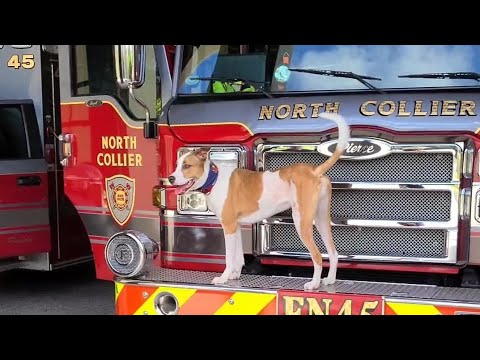 Caserma dei pompieri americana