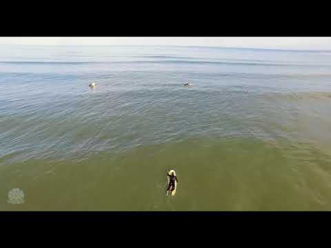 Nagranie z drona przedstawiające plażę i surferów na Saltburn Beach