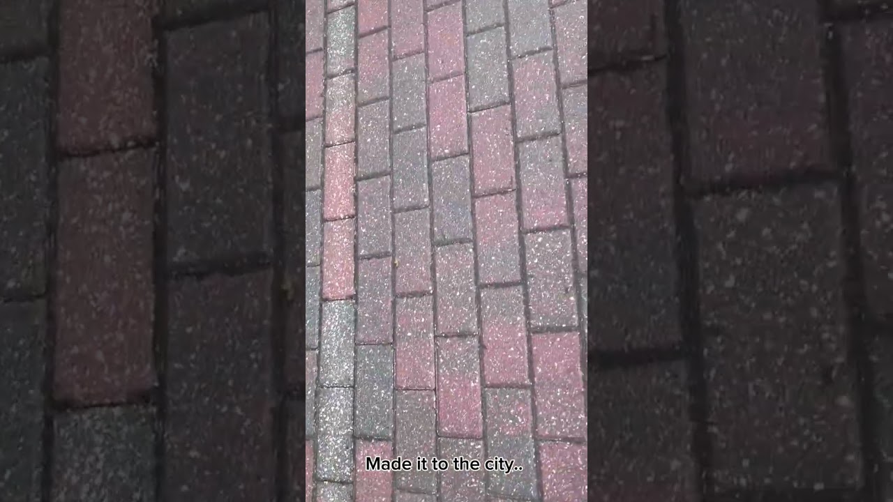 Part 2 #runningaway #vent #foryou #fyp #mitski #homepage #lifeisbutadream 