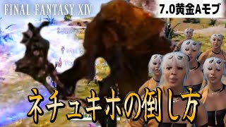 8つのポイントを押さえてネチュキホを倒そう！ | FF14