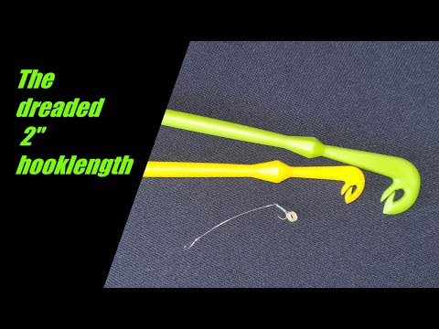 The dreaded 2 inch hooklength