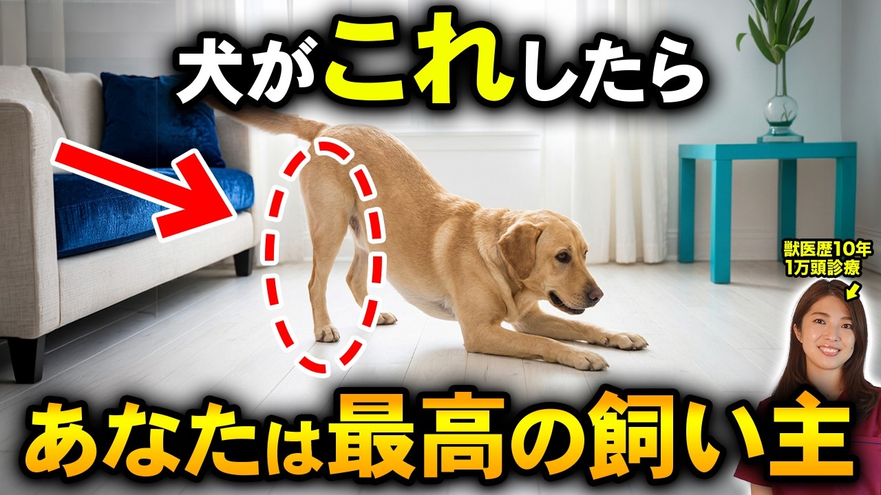 【いくつ当てはまる？】犬が今の暮らしに満足しているときに見せる行動10選