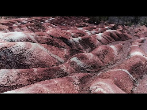 Video thumbnail for The Hills of Cinnamon